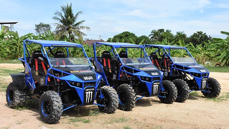 atv and buggy