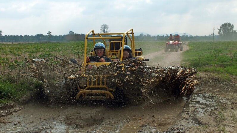 farm buggy tours